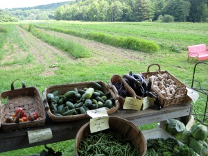Lilac Ridge Farm organic produce and fields
